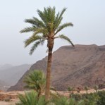 Un voyage, c'est le début d'une histoire (Vidas) VTT vélo Maroc (Vidas)